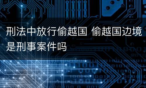 刑法中放行偷越国 偷越国边境是刑事案件吗