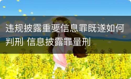 违规披露重要信息罪既遂如何判刑 信息披露罪量刑