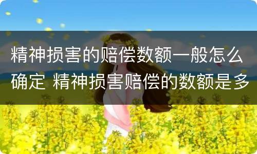 精神损害的赔偿数额一般怎么确定 精神损害赔偿的数额是多少
