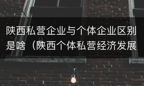 陕西私营企业与个体企业区别是啥（陕西个体私营经济发展综合服务平台）