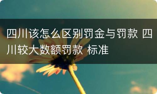 四川该怎么区别罚金与罚款 四川较大数额罚款 标准
