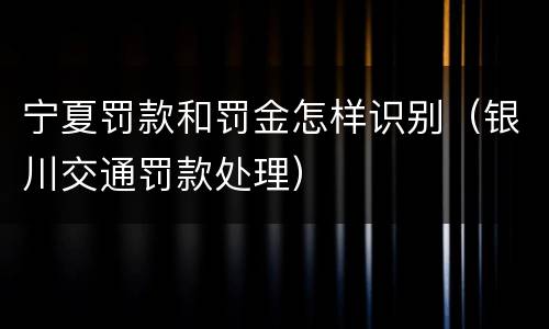 宁夏罚款和罚金怎样识别（银川交通罚款处理）
