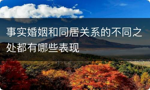 事实婚姻和同居关系的不同之处都有哪些表现