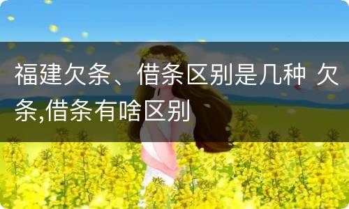 福建欠条、借条区别是几种 欠条,借条有啥区别