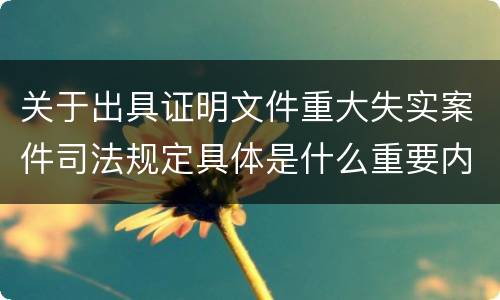关于出具证明文件重大失实案件司法规定具体是什么重要内容