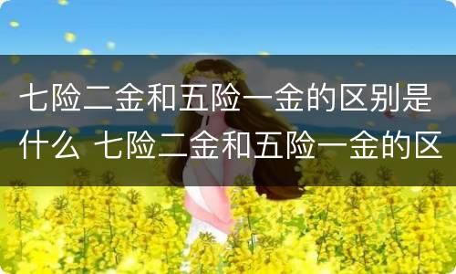 七险二金和五险一金的区别是什么 七险二金和五险一金的区别是什么呢
