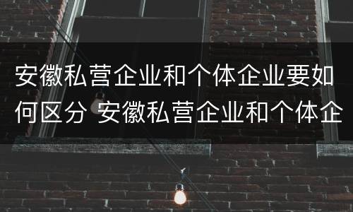 安徽私营企业和个体企业要如何区分 安徽私营企业和个体企业要如何区分呢