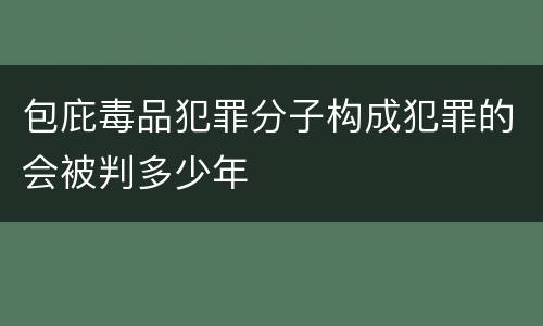 包庇毒品犯罪分子构成犯罪的会被判多少年