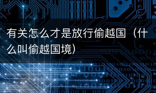 有关怎么才是放行偷越国（什么叫偷越国境）