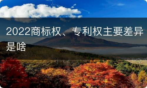 2022商标权、专利权主要差异是啥