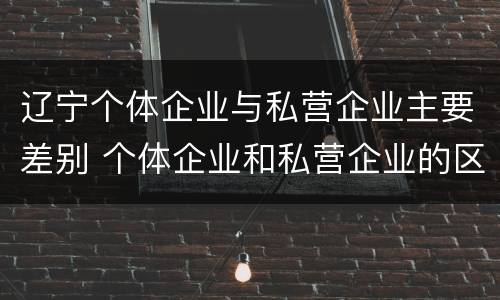 辽宁个体企业与私营企业主要差别 个体企业和私营企业的区别