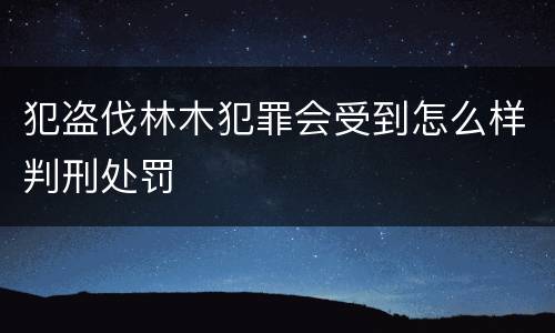 犯盗伐林木犯罪会受到怎么样判刑处罚