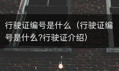 行驶证编号是什么（行驶证编号是什么?行驶证介绍）