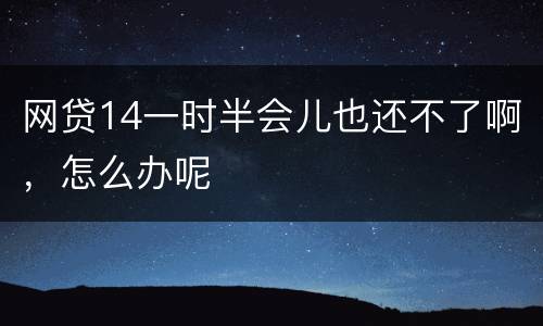 网贷14一时半会儿也还不了啊，怎么办呢
