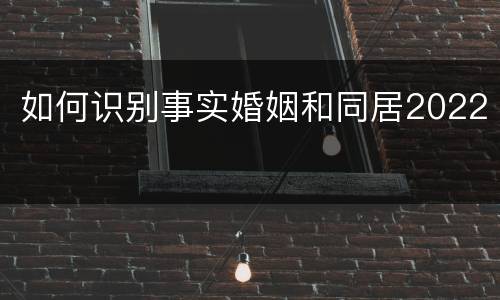如何识别事实婚姻和同居2022