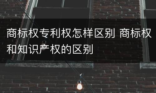 商标权专利权怎样区别 商标权和知识产权的区别