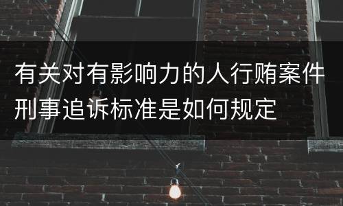 有关对有影响力的人行贿案件刑事追诉标准是如何规定