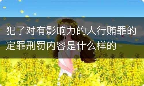 犯了对有影响力的人行贿罪的定罪刑罚内容是什么样的