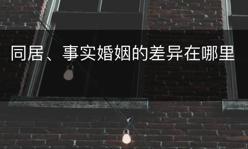 同居、事实婚姻的差异在哪里