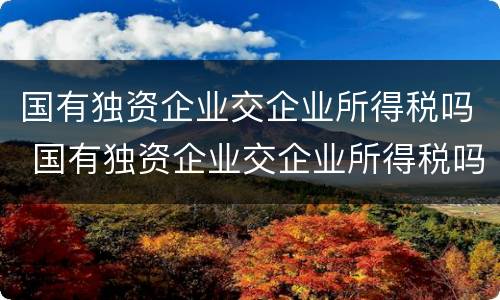 国有独资企业交企业所得税吗 国有独资企业交企业所得税吗现在