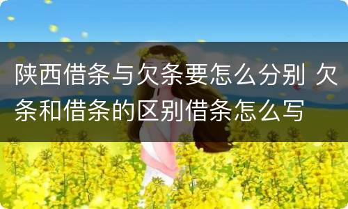 陕西借条与欠条要怎么分别 欠条和借条的区别借条怎么写
