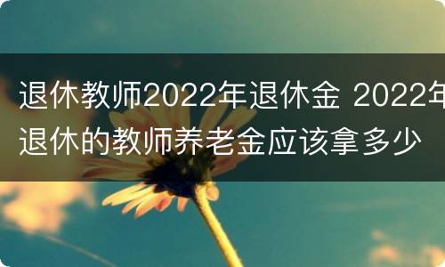 退休教师2022年退休金 2022年退休的教师养老金应该拿多少