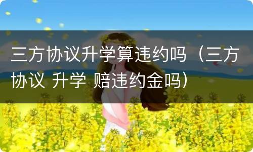 三方协议升学算违约吗（三方协议 升学 赔违约金吗）