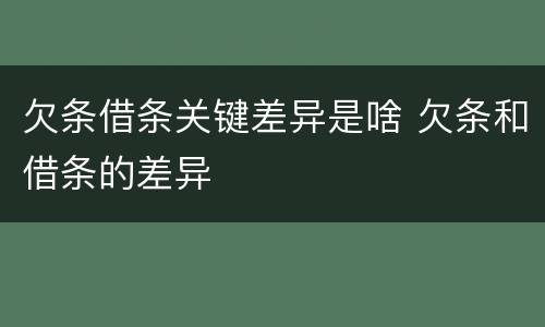欠条借条关键差异是啥 欠条和借条的差异