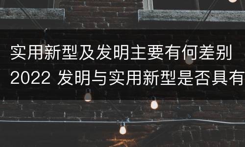 实用新型及发明主要有何差别2022 发明与实用新型是否具有实用性