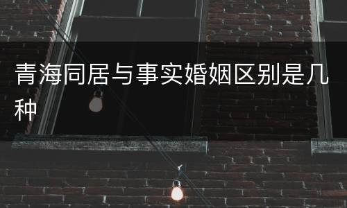 青海同居与事实婚姻区别是几种