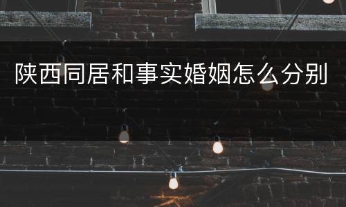 陕西同居和事实婚姻怎么分别