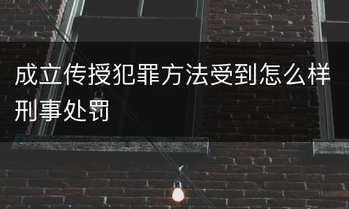 成立传授犯罪方法受到怎么样刑事处罚