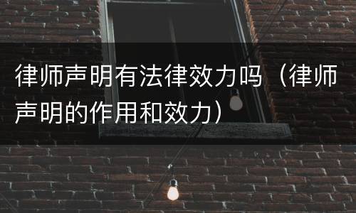 律师声明有法律效力吗（律师声明的作用和效力）