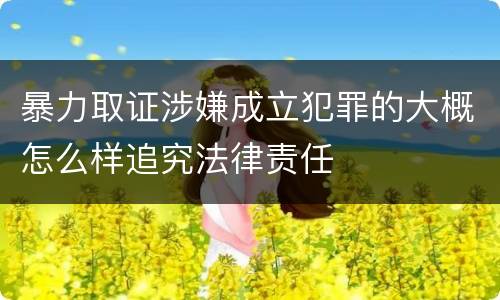 暴力取证涉嫌成立犯罪的大概怎么样追究法律责任