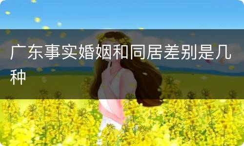 广东事实婚姻和同居差别是几种