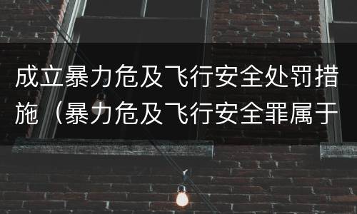 成立暴力危及飞行安全处罚措施（暴力危及飞行安全罪属于行为犯）