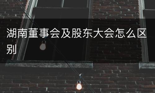 湖南董事会及股东大会怎么区别