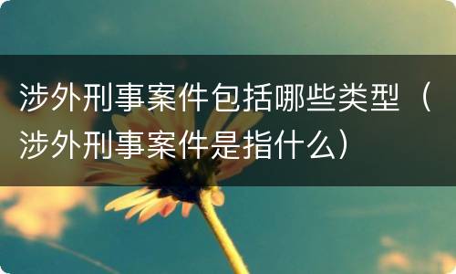 涉外刑事案件包括哪些类型（涉外刑事案件是指什么）