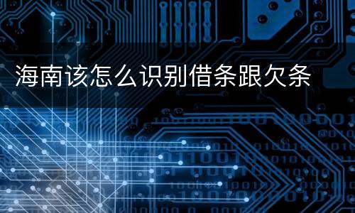 海南该怎么识别借条跟欠条