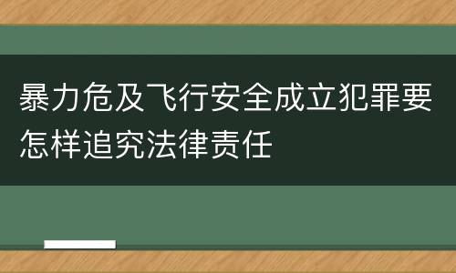 暴力危及飞行安全成立犯罪要怎样追究法律责任