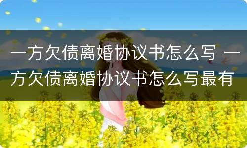 一方欠债离婚协议书怎么写 一方欠债离婚协议书怎么写最有效