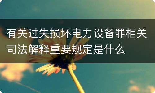 有关过失损坏电力设备罪相关司法解释重要规定是什么
