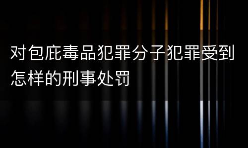 对包庇毒品犯罪分子犯罪受到怎样的刑事处罚