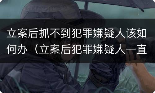 立案后抓不到犯罪嫌疑人该如何办（立案后犯罪嫌疑人一直抓不住咋办）