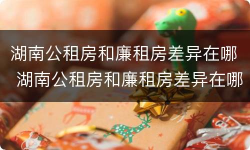 湖南公租房和廉租房差异在哪 湖南公租房和廉租房差异在哪查询