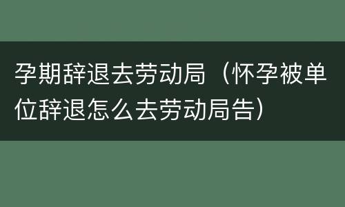 孕期辞退去劳动局（怀孕被单位辞退怎么去劳动局告）