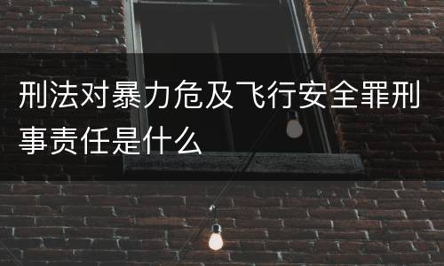 刑法对暴力危及飞行安全罪刑事责任是什么