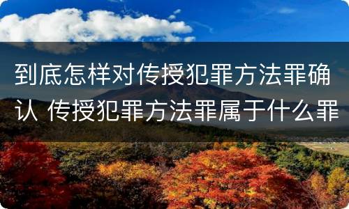 到底怎样对传授犯罪方法罪确认 传授犯罪方法罪属于什么罪