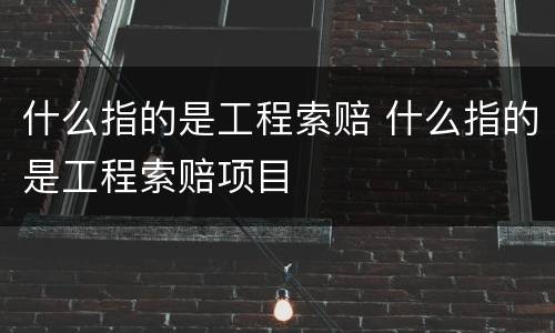 什么指的是工程索赔 什么指的是工程索赔项目