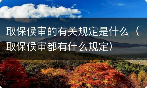 取保候审的有关规定是什么（取保候审都有什么规定）